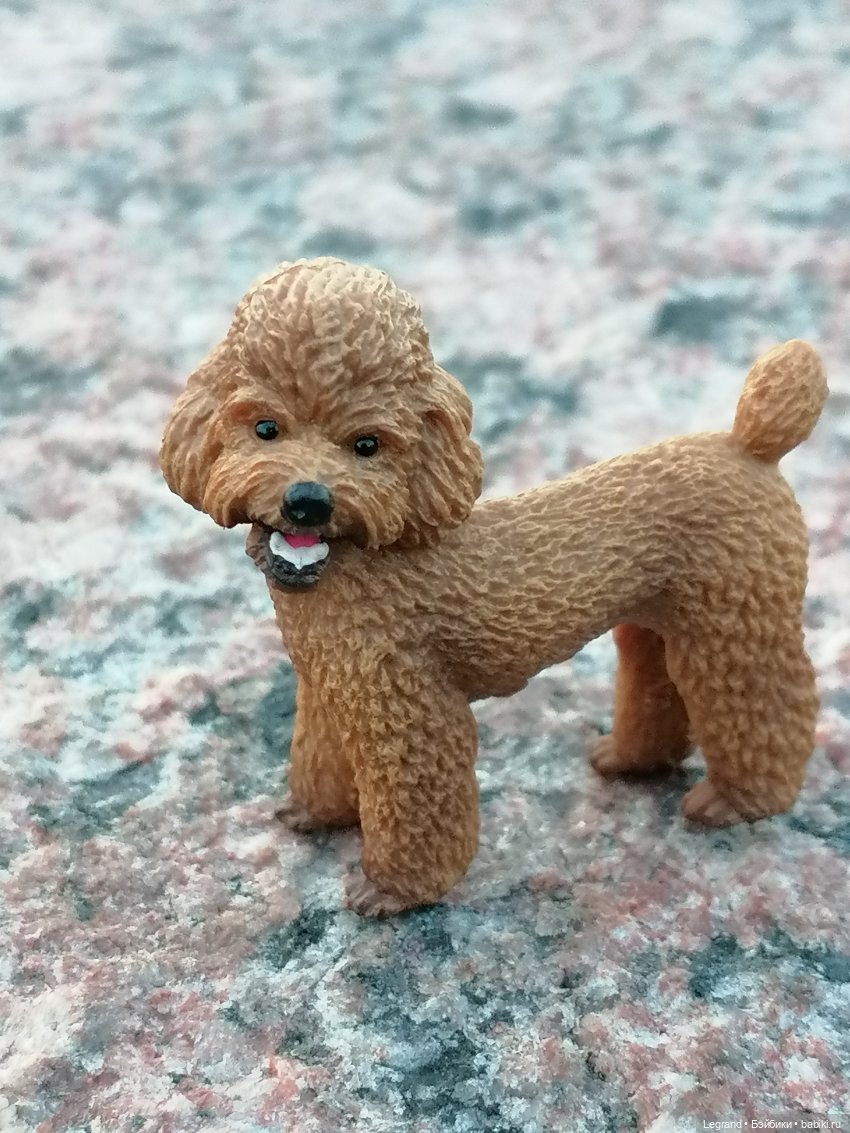 Санкт-Петербург: розы, Август, Нева, закат - часть вторая