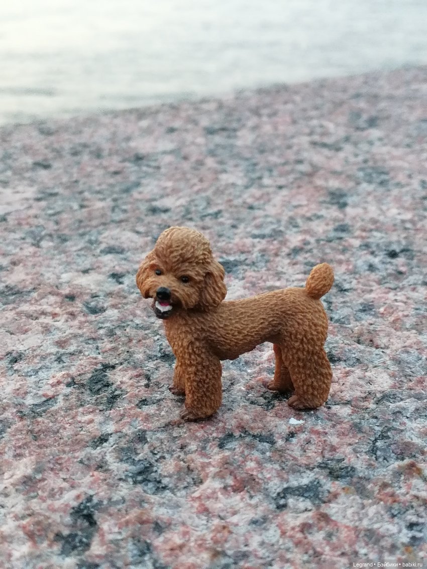 Санкт-Петербург: розы, Август, Нева, закат - часть вторая