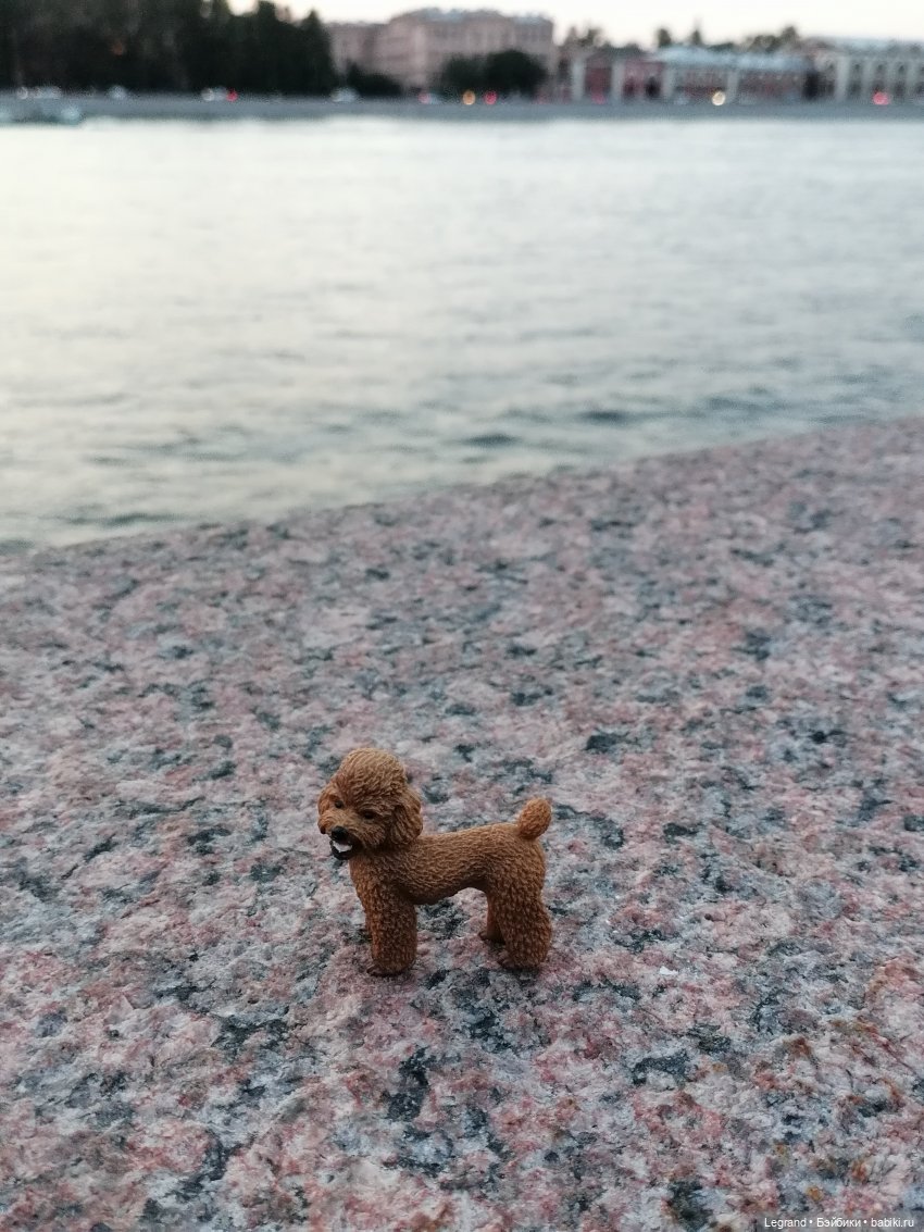 Санкт-Петербург: розы, Август, Нева, закат - часть вторая