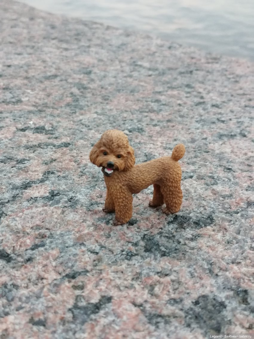 Санкт-Петербург: розы, Август, Нева, закат - часть третья