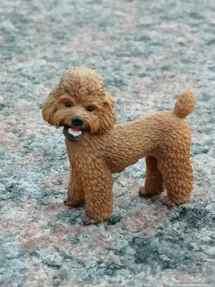 Санкт-Петербург: розы, Август, Нева, закат - часть третья