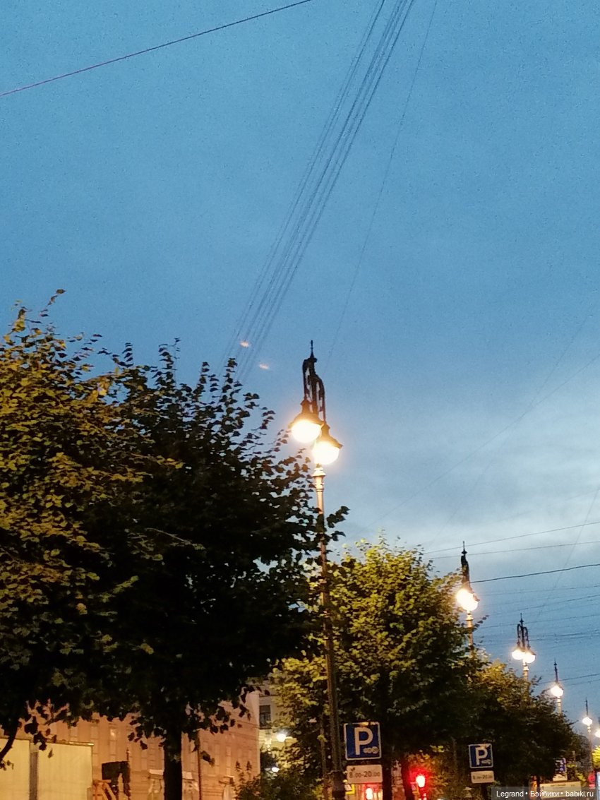 Санкт-Петербург: розы, Август, Нева, закат - часть четвёртая (фото 6)