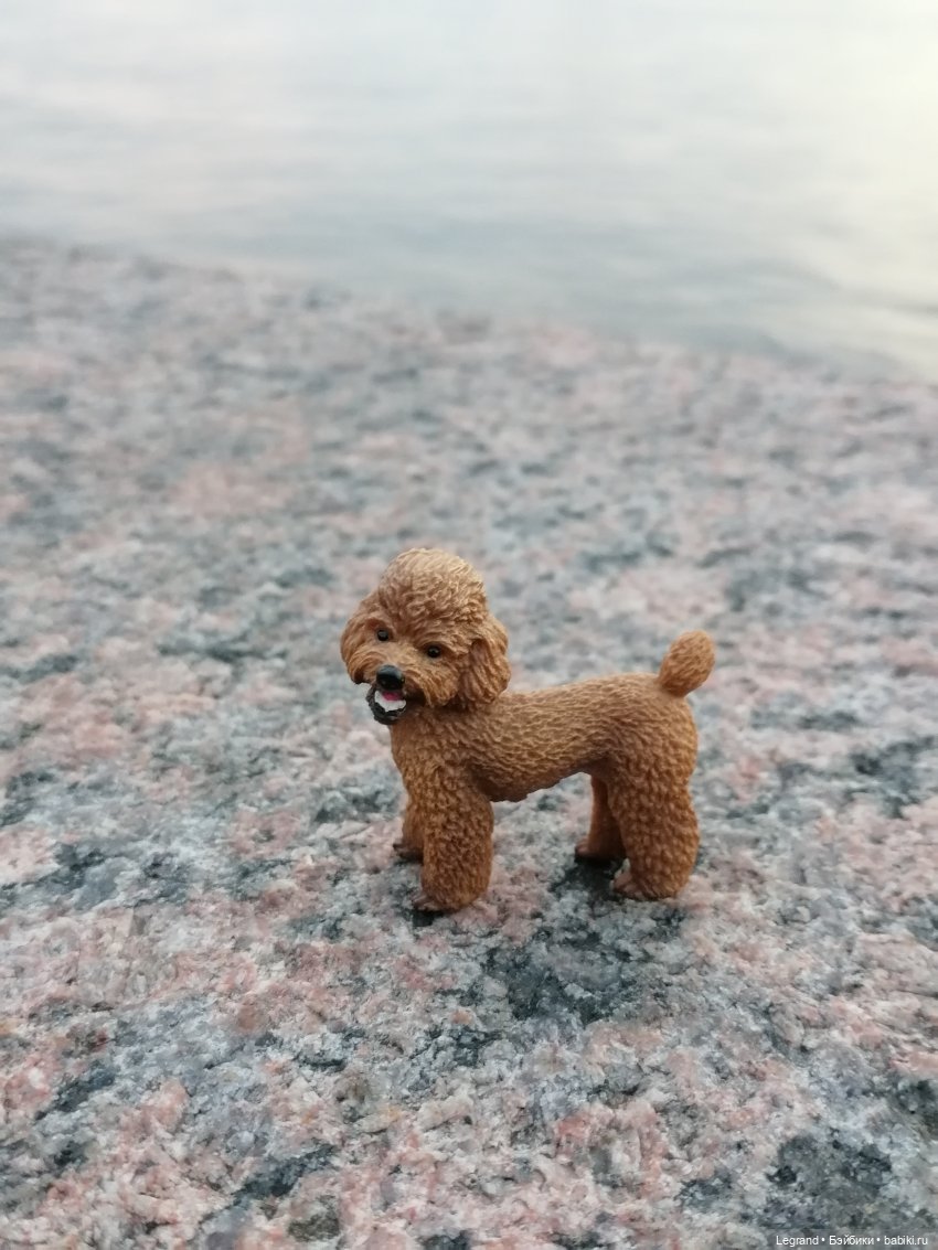 Санкт-Петербург: розы, Август, Нева, закат - часть третья