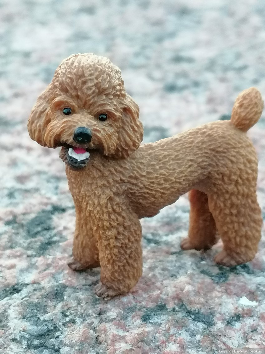 Санкт-Петербург: розы, Август, Нева, закат - часть вторая