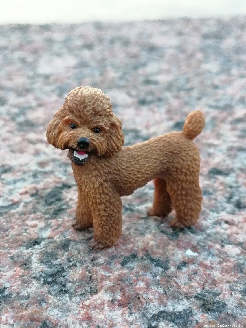 Санкт-Петербург: розы, Август, Нева, закат - часть вторая