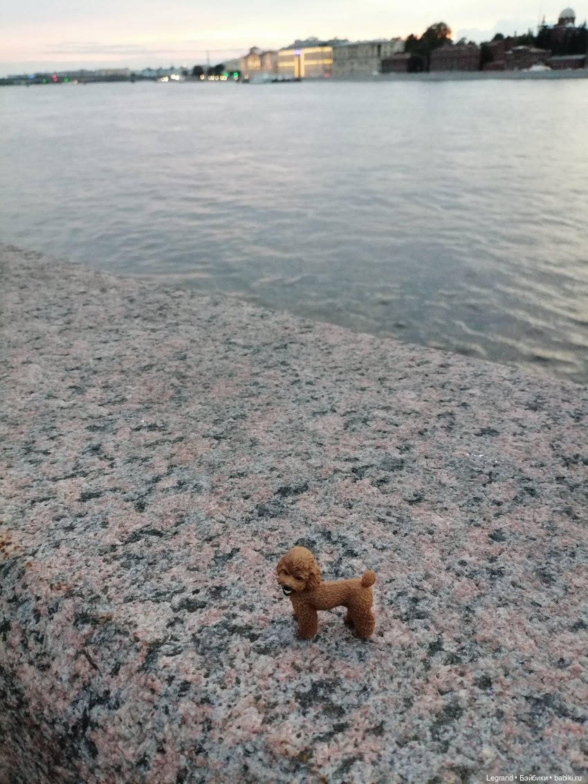 Санкт-Петербург: розы, Август, Нева, закат - часть третья