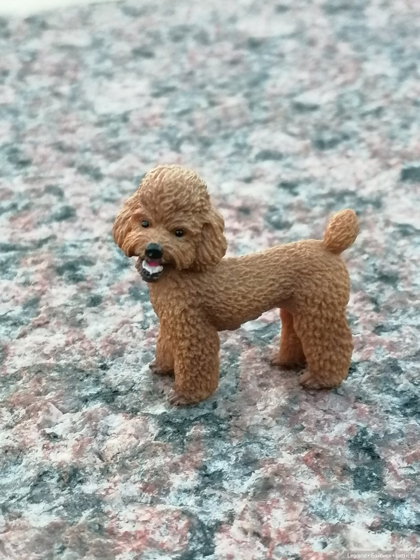 Санкт-Петербург: розы, Август, Нева, закат - часть вторая