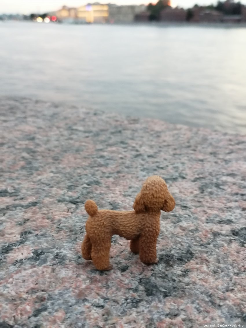 Санкт-Петербург: розы, Август, Нева, закат - часть третья