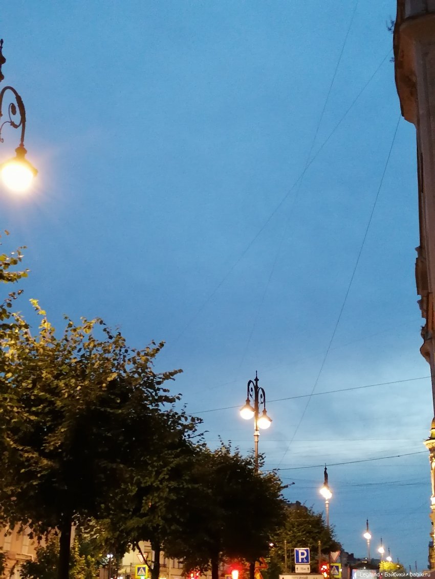 Санкт-Петербург: розы, Август, Нева, закат - часть четвёртая (фото 7)