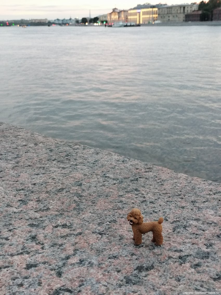 Санкт-Петербург: розы, Август, Нева, закат - часть третья