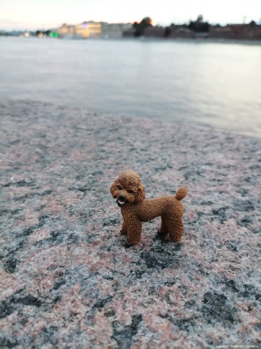 Санкт-Петербург: розы, Август, Нева, закат - часть третья