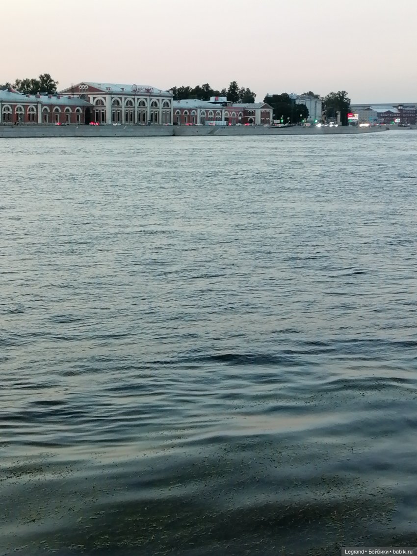 Санкт-Петербург: розы, Август, Нева, закат - часть вторая (фото 5)