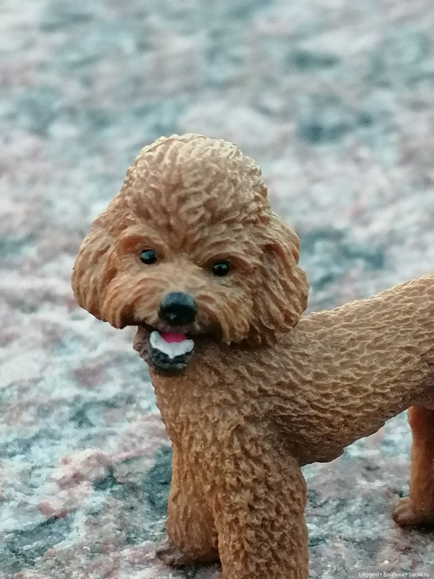 Санкт-Петербург: розы, Август, Нева, закат - часть вторая