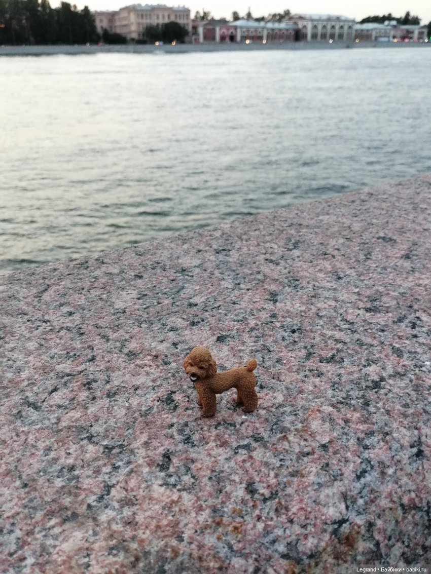 Санкт-Петербург: розы, Август, Нева, закат - часть вторая