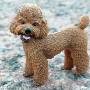 Санкт-Петербург: розы, Август, Нева, закат - часть вторая