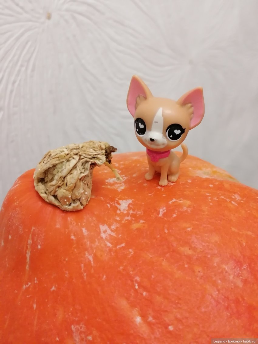 Лурения: прогулки в саду и около🤗🌴