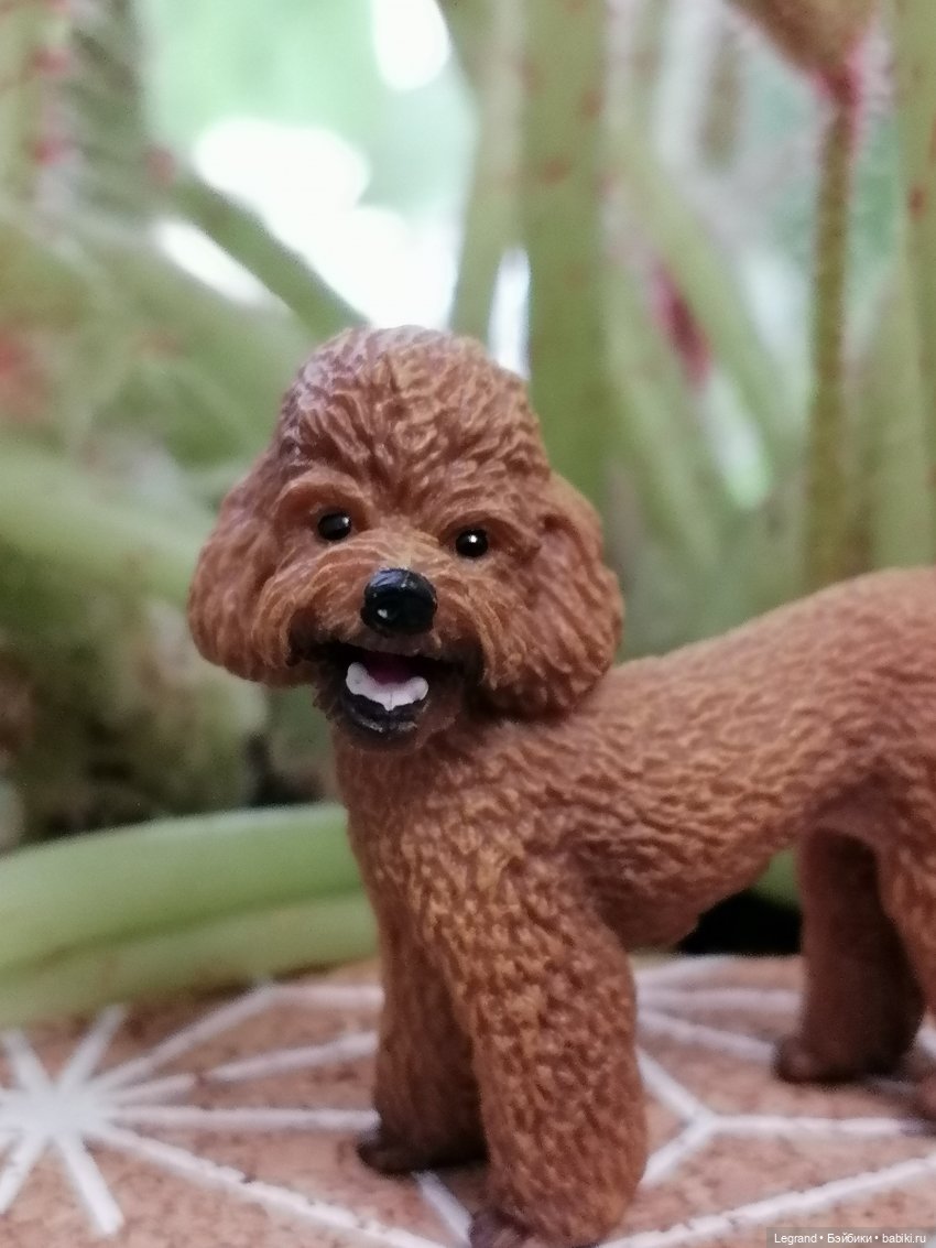 Лурения: прогулки в саду и около🤗🌴