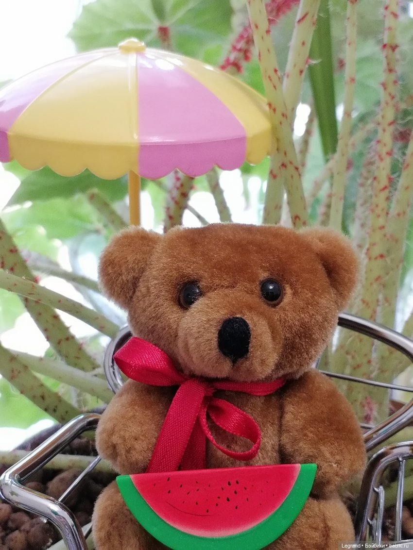 Лурения: прогулки в саду и около🤗🌴 (фото 5)