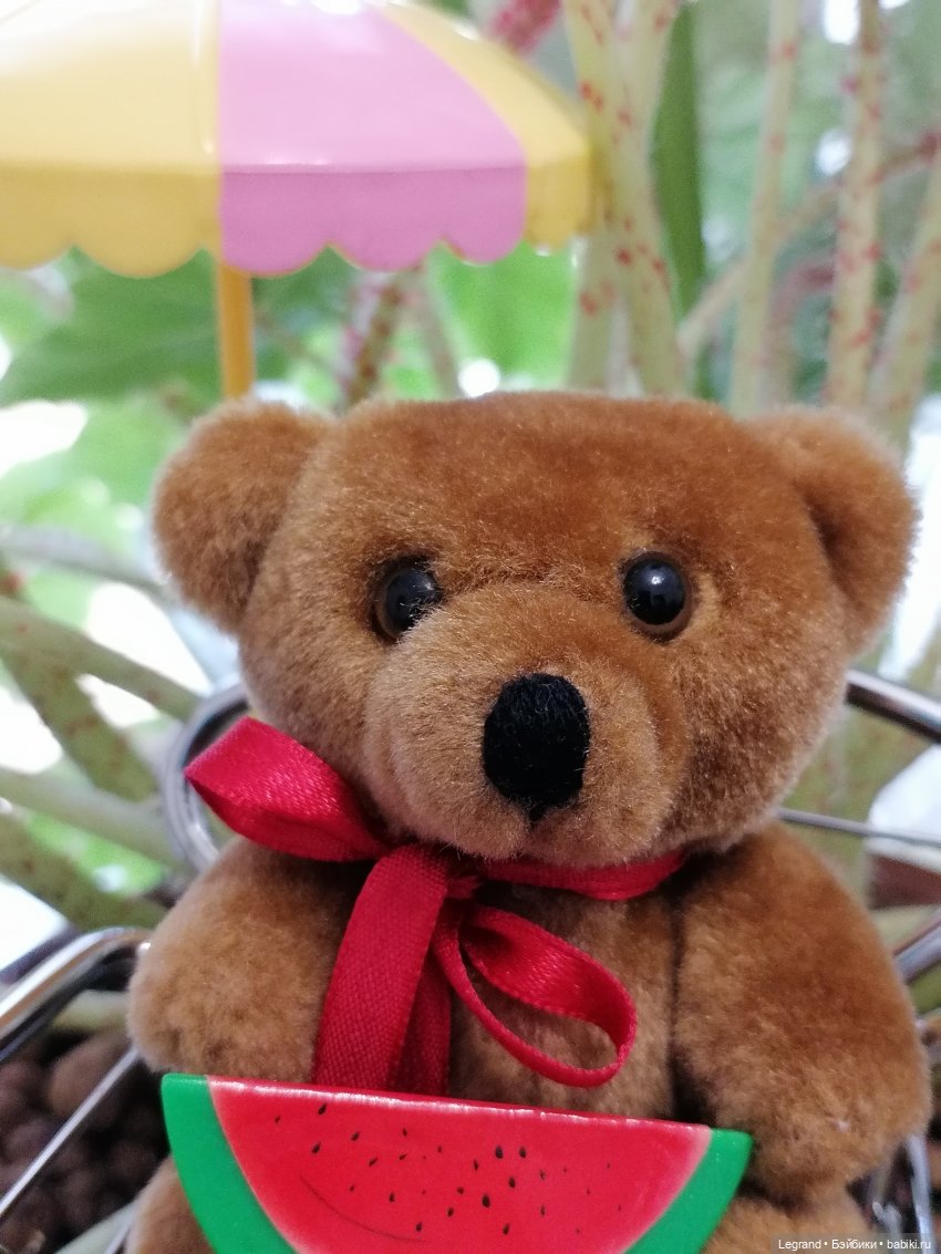 Лурения: прогулки в саду и около🤗🌴 (фото 3)