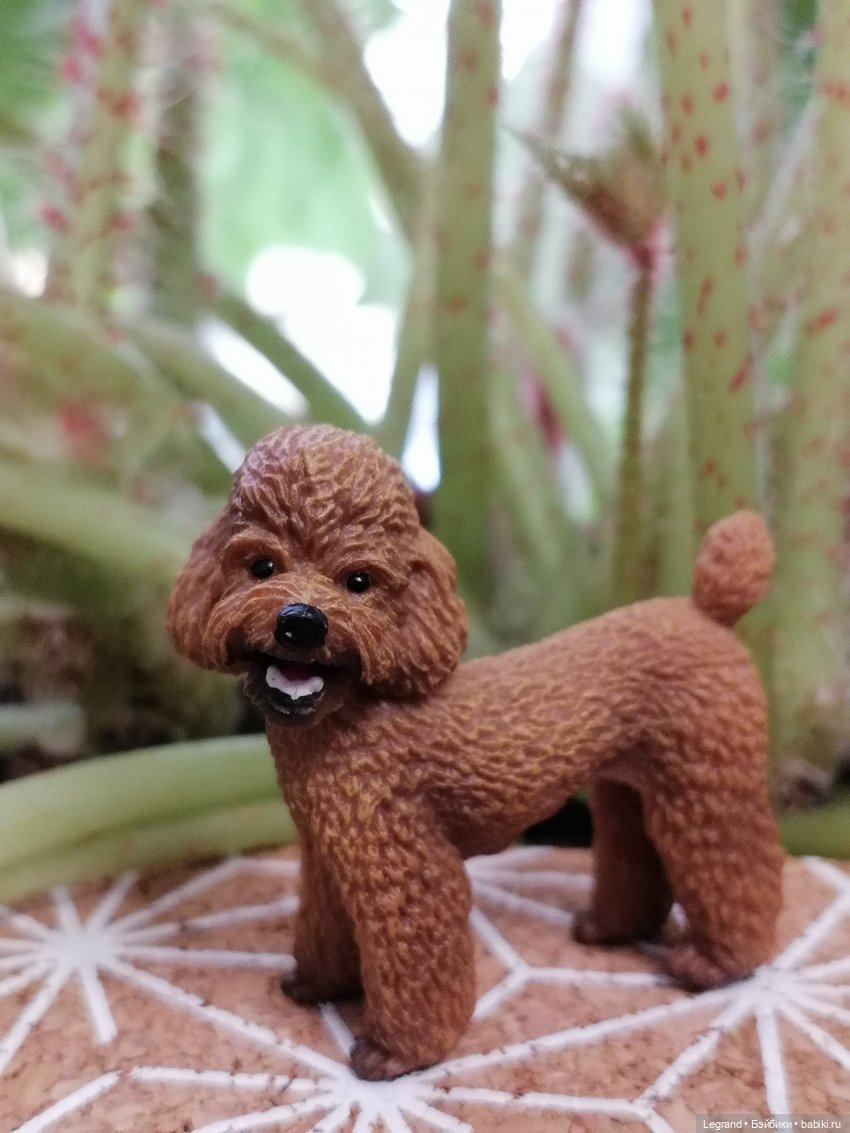 Лурения: прогулки в саду и около🤗🌴