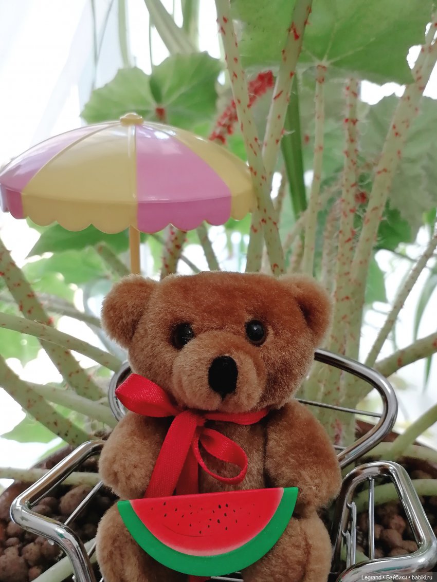 Лурения: прогулки в саду и около🤗🌴 (фото 4)