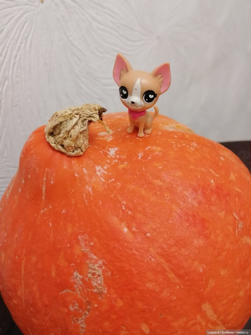 Лурения: прогулки в саду и около🤗🌴