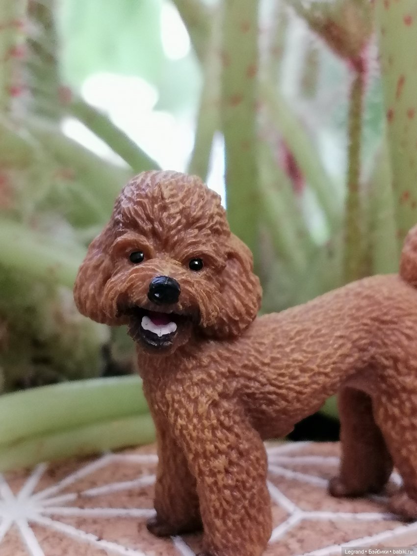 Лурения: прогулки в саду и около🤗🌴