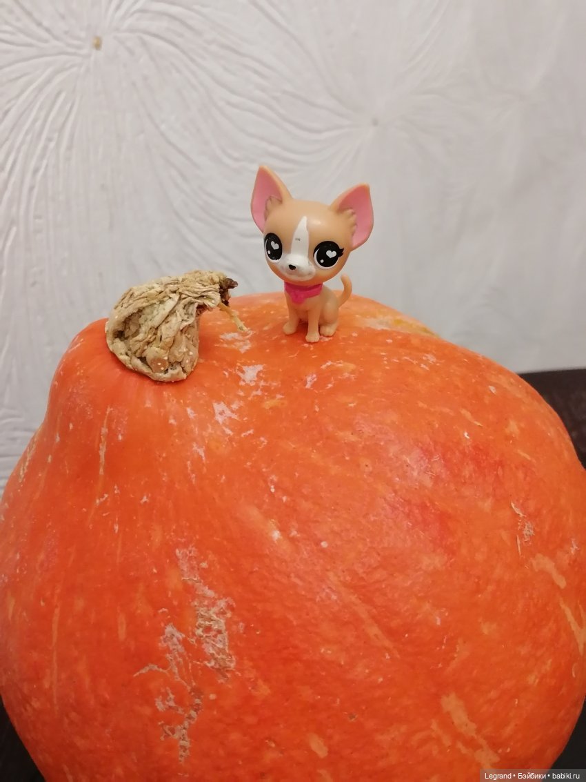 Лурения: прогулки в саду и около🤗🌴