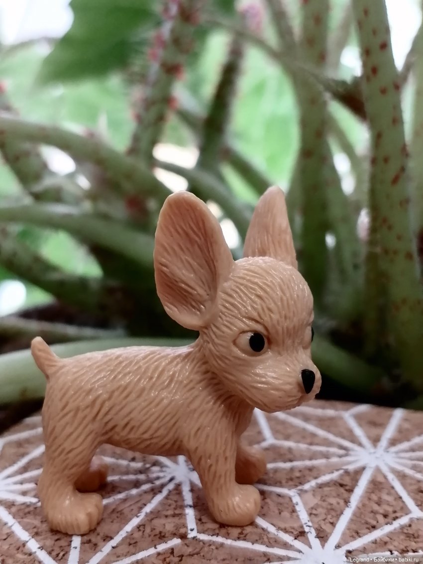 Лурения: прогулки в саду и около🤗🌴