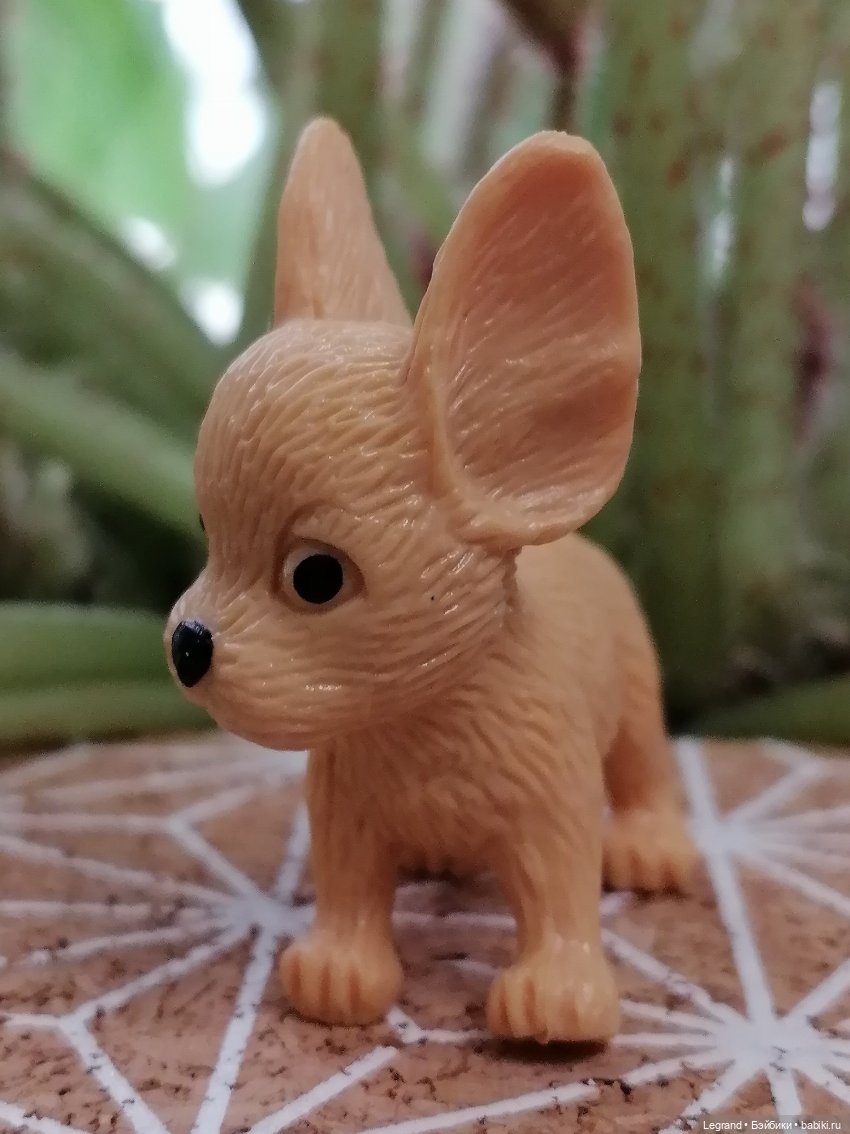 Лурения: прогулки в саду и около🤗🌴