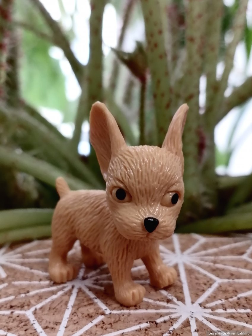 Лурения: прогулки в саду и около🤗🌴