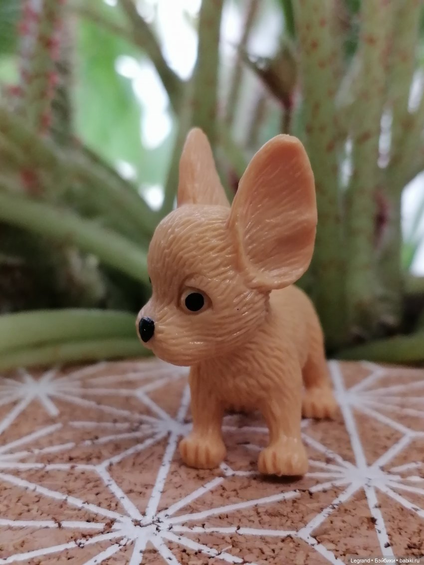 Лурения: прогулки в саду и около🤗🌴