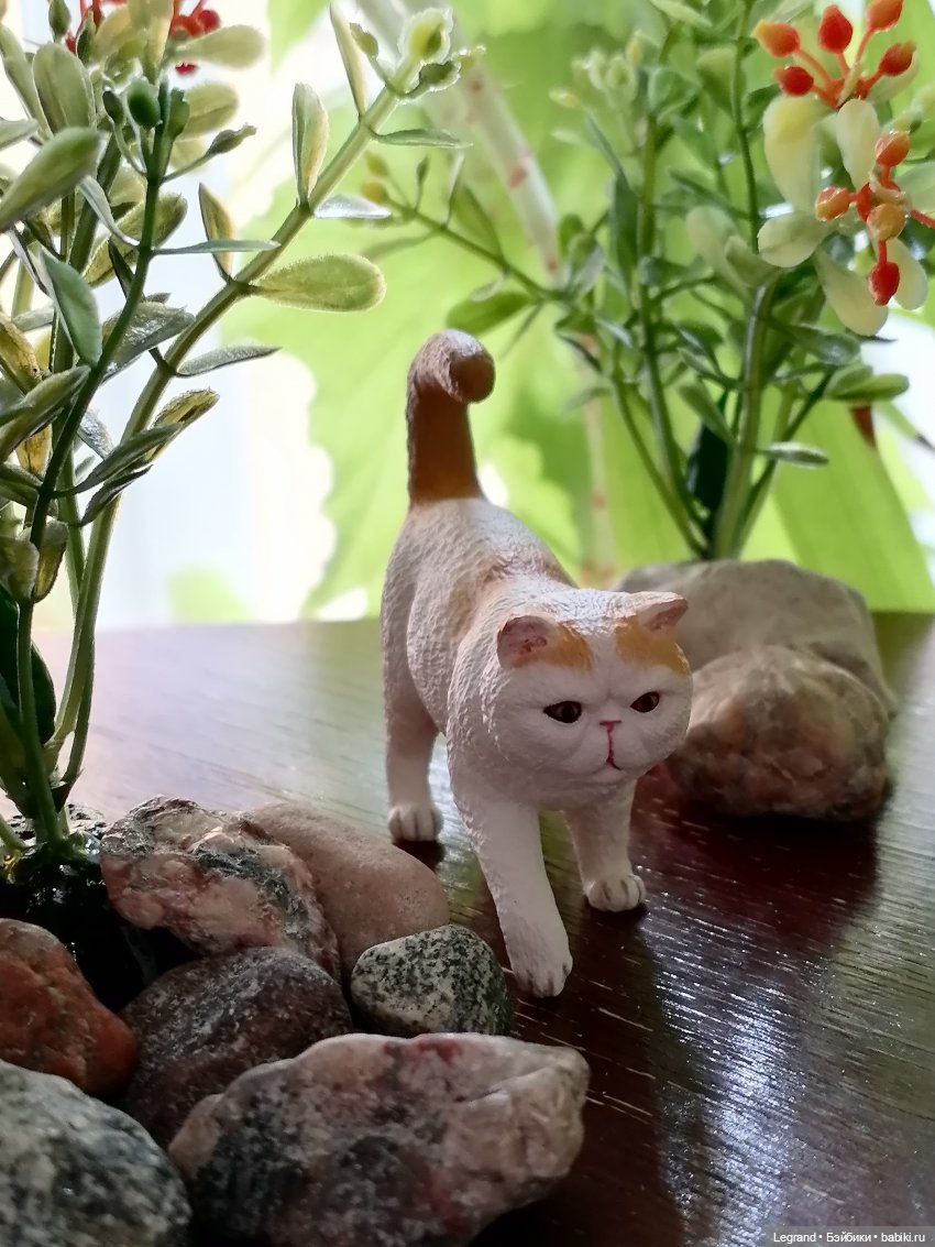 Лурения: перепись кошачьих - 2025 🤗