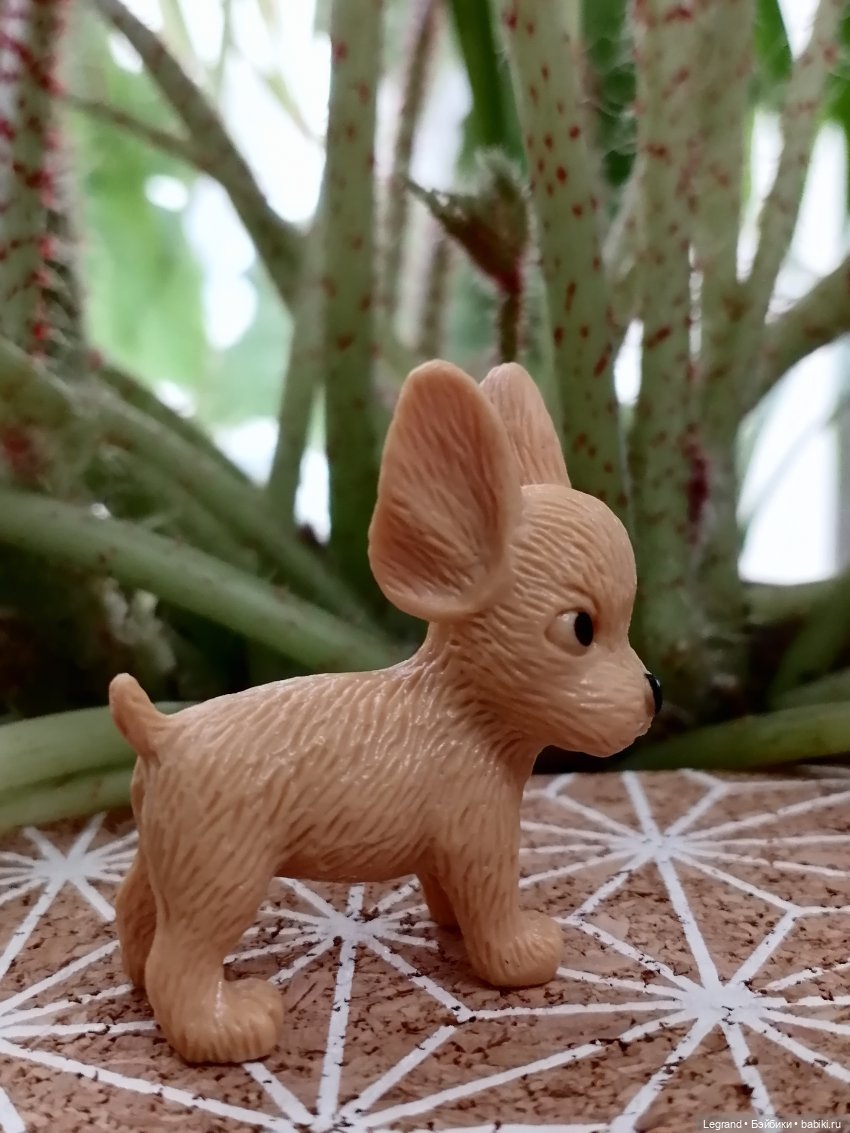 Лурения: прогулки в саду и около🤗🌴