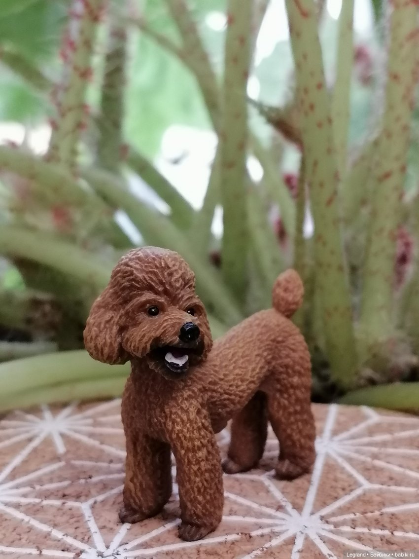 Лурения: прогулки в саду и около🤗🌴