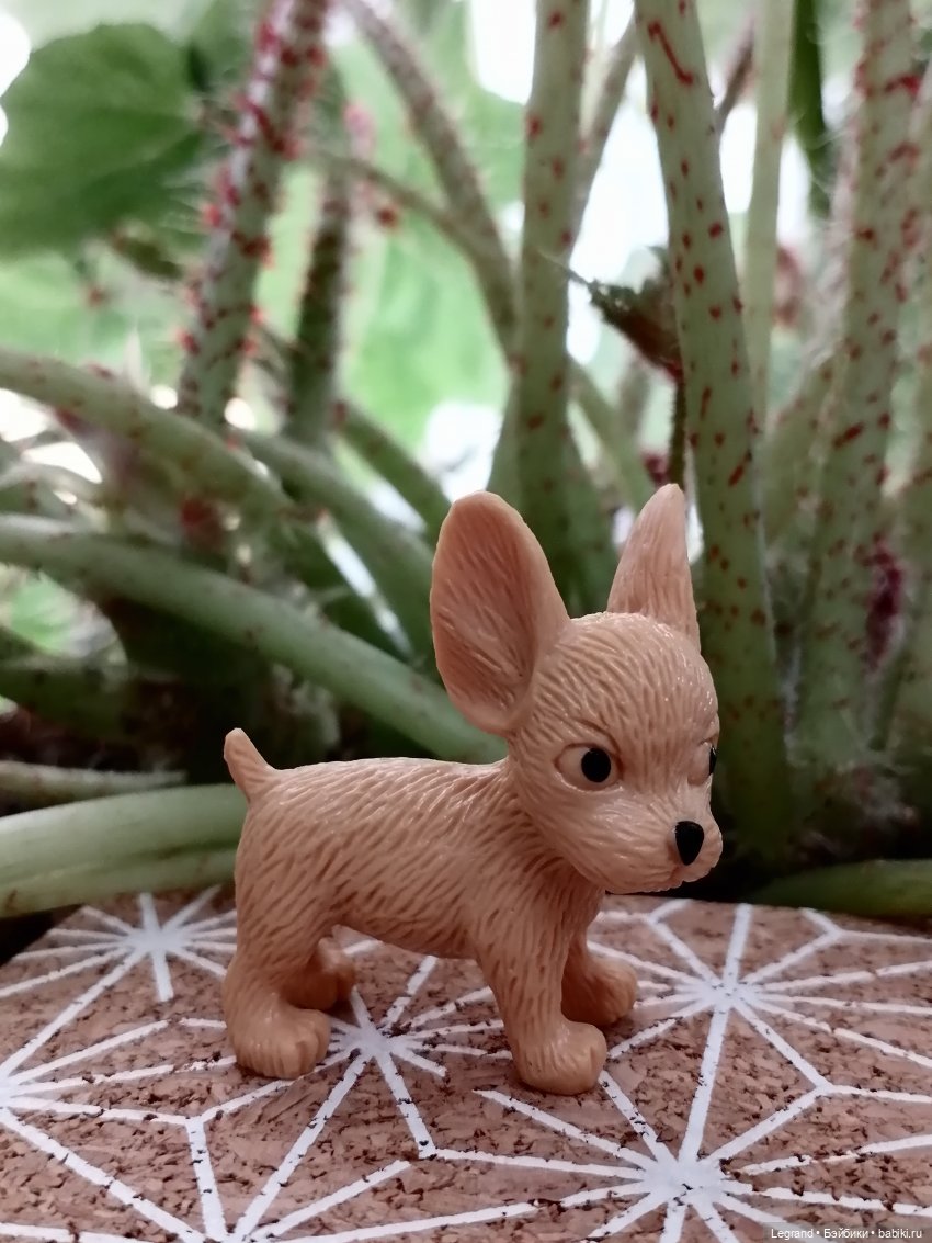 Лурения: прогулки в саду и около🤗🌴