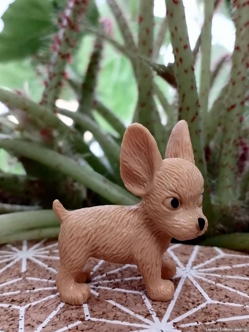 Лурения: прогулки в саду и около🤗🌴