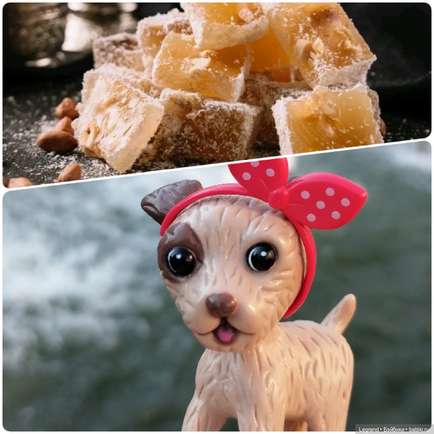 Лурения: "вкусные" имена наших питомцев🍰🍇 (фото 4)