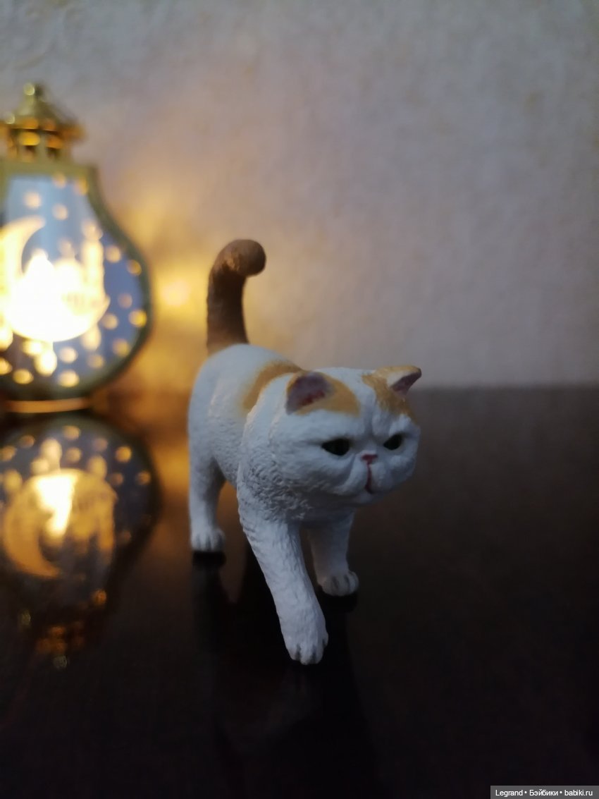 Лурения: перепись кошачьих - 2025 🤗