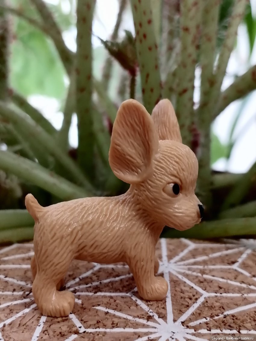 Лурения: прогулки в саду и около🤗🌴