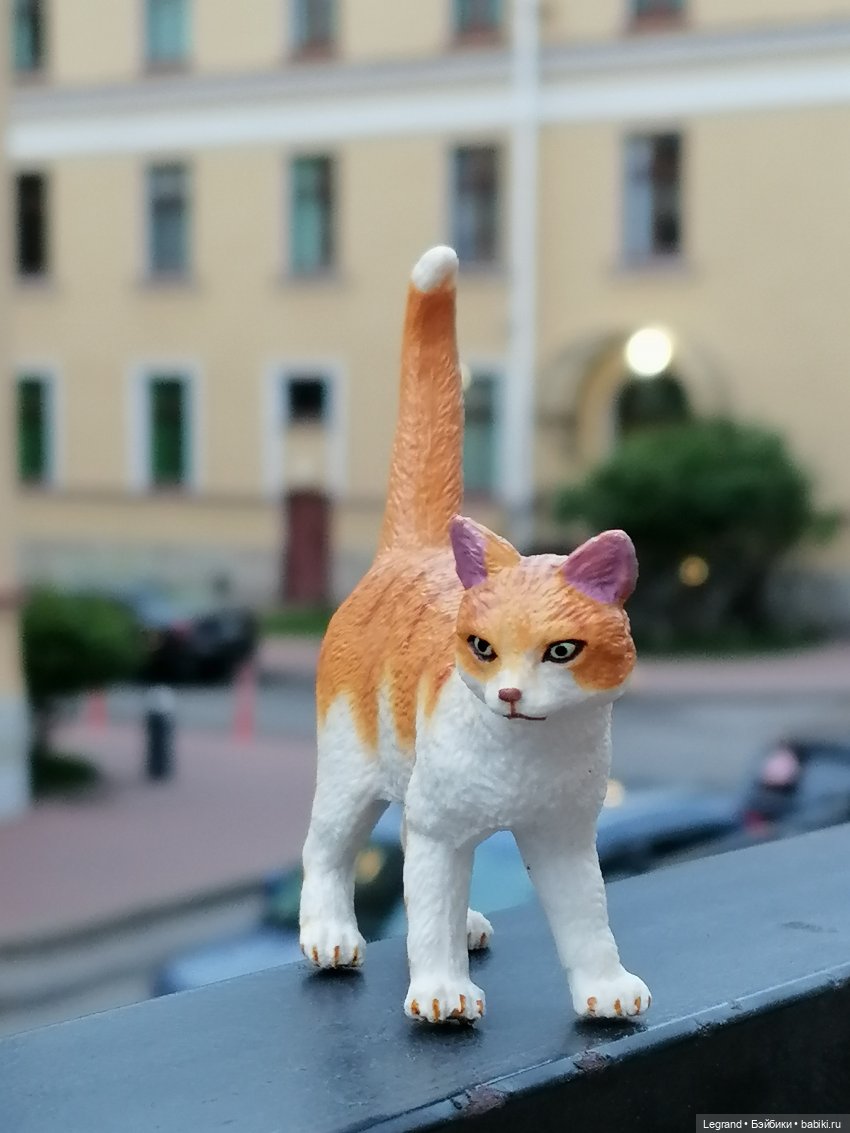 Лурения: перепись кошачьих - 2025 🤗