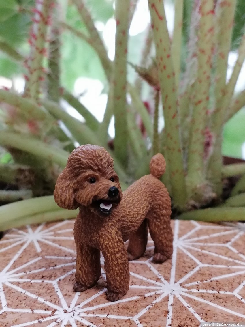 Лурения: прогулки в саду и около🤗🌴