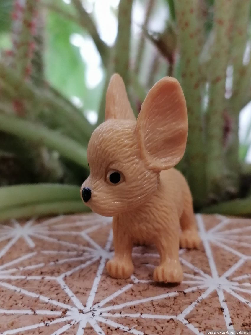 Лурения: прогулки в саду и около🤗🌴