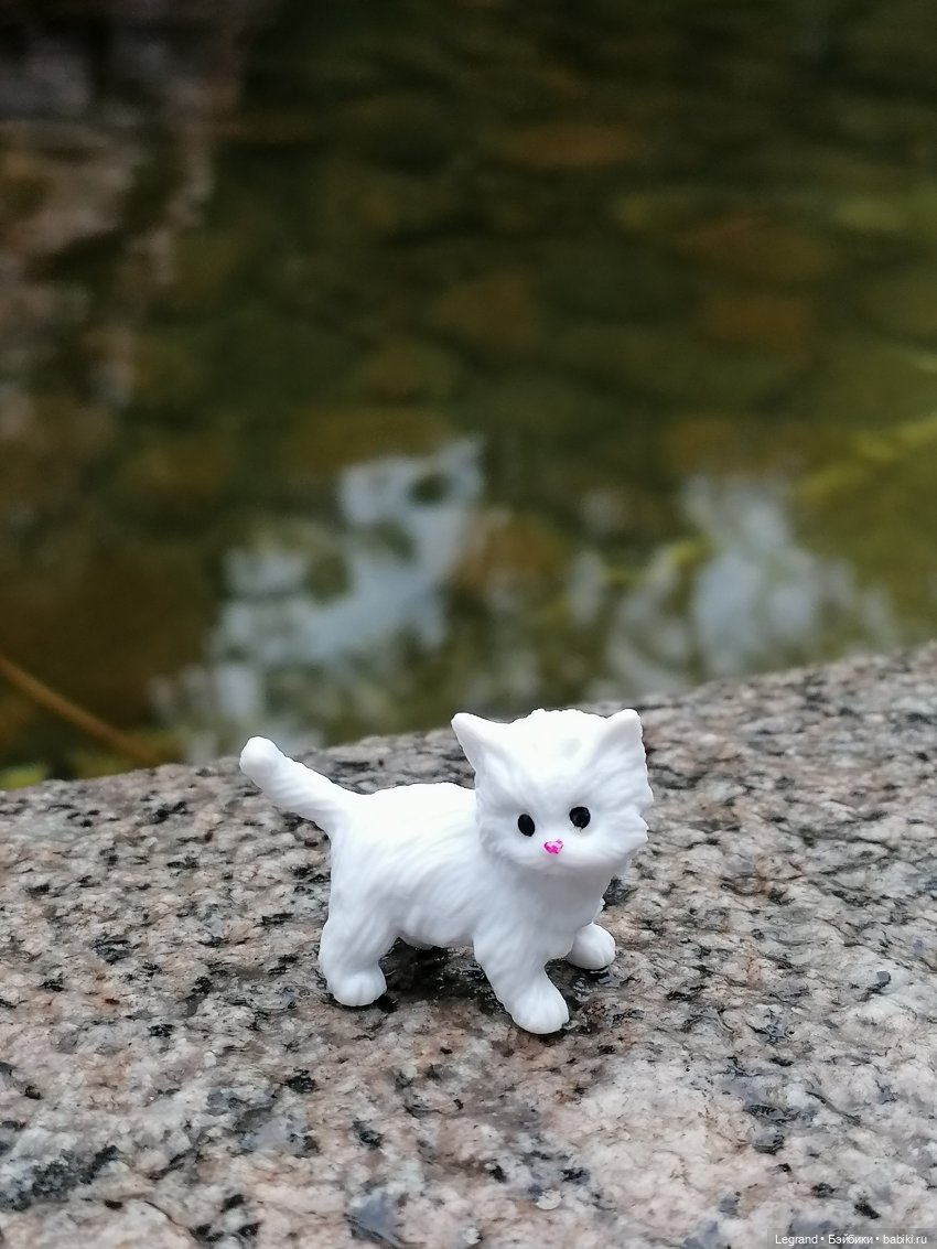 Лурения: перепись кошачьих - 2025 🤗