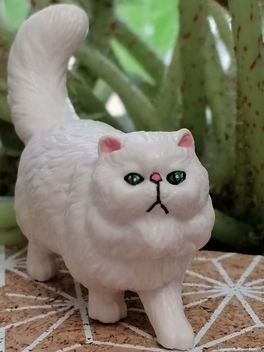 Лурения: перепись кошачьих - 2025 🤗