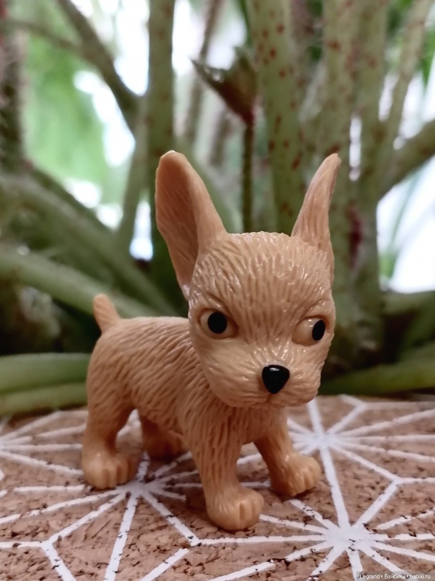 Лурения: прогулки в саду и около🤗🌴