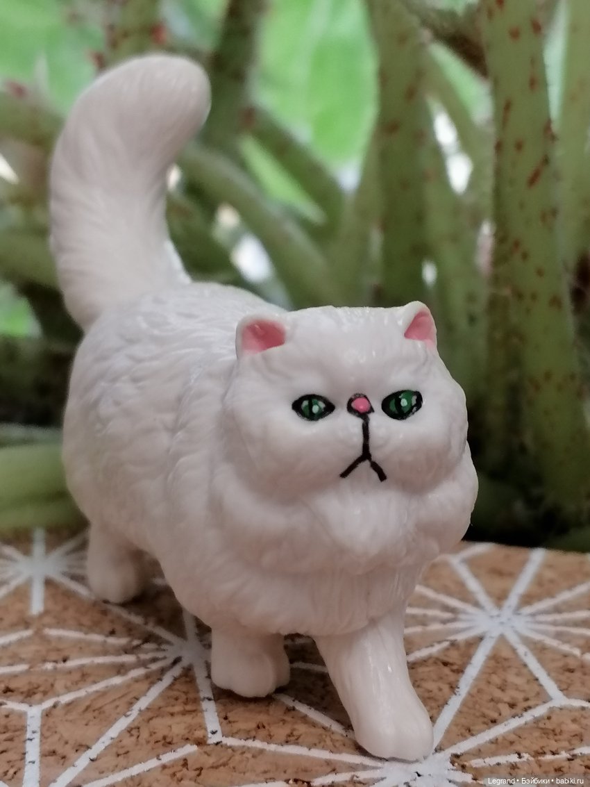 Лурения: перепись кошачьих - 2025 🤗