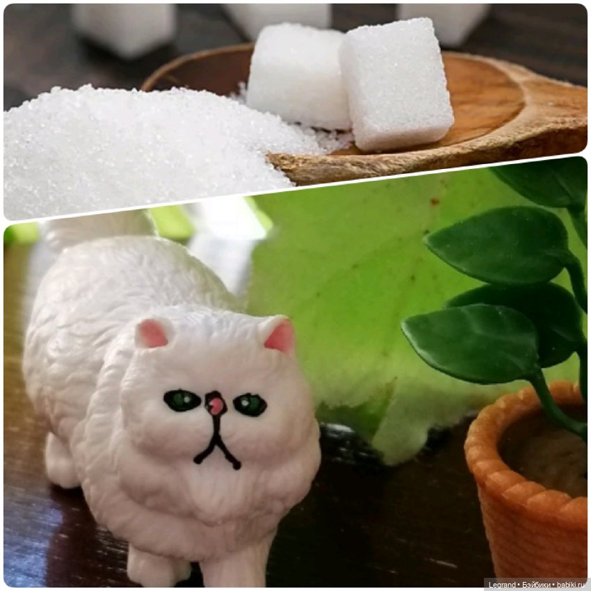 Лурения: "вкусные" имена наших питомцев🍰🍇 (фото 7)