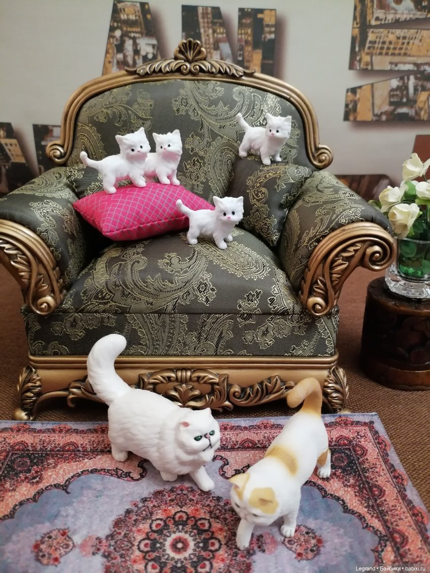 Лурения: перепись кошачьих - 2025 🤗