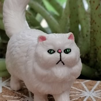 Лурения: перепись кошачьих - 2025 🤗